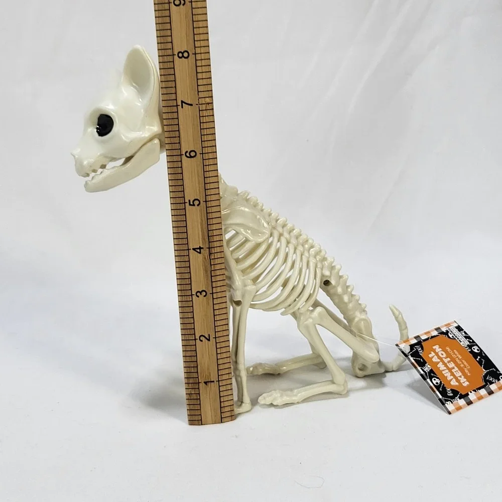 Halloween Kitty Cat Animal Skeleton 7.2